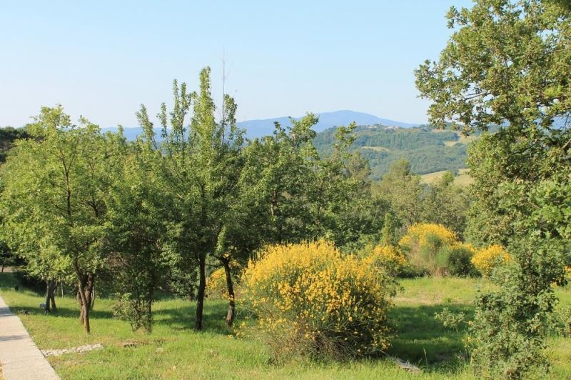 Agriturismo Podere Costarella Radicondoli Pokój zdjęcie